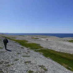 Rarity at Risk: Preserving Biodiversity on the Limestone Landscapes