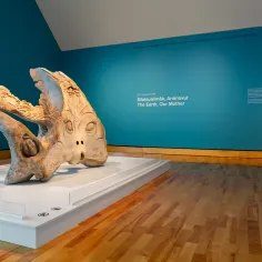 Auks, Wolves and Whales